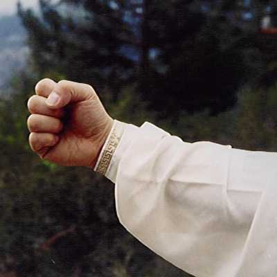 theFIST